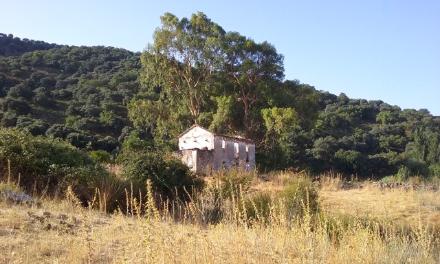 Finca with eycalyptus trees near Estación de Benaoján. Photo © snobb.net